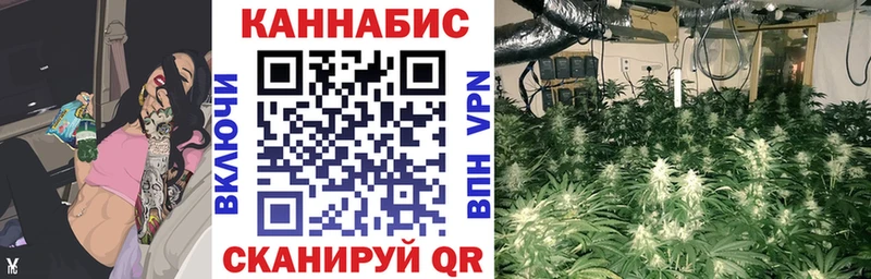 Конопля индика  omg вход  Соликамск 