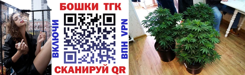 Канабис ГИДРОПОН Соликамск